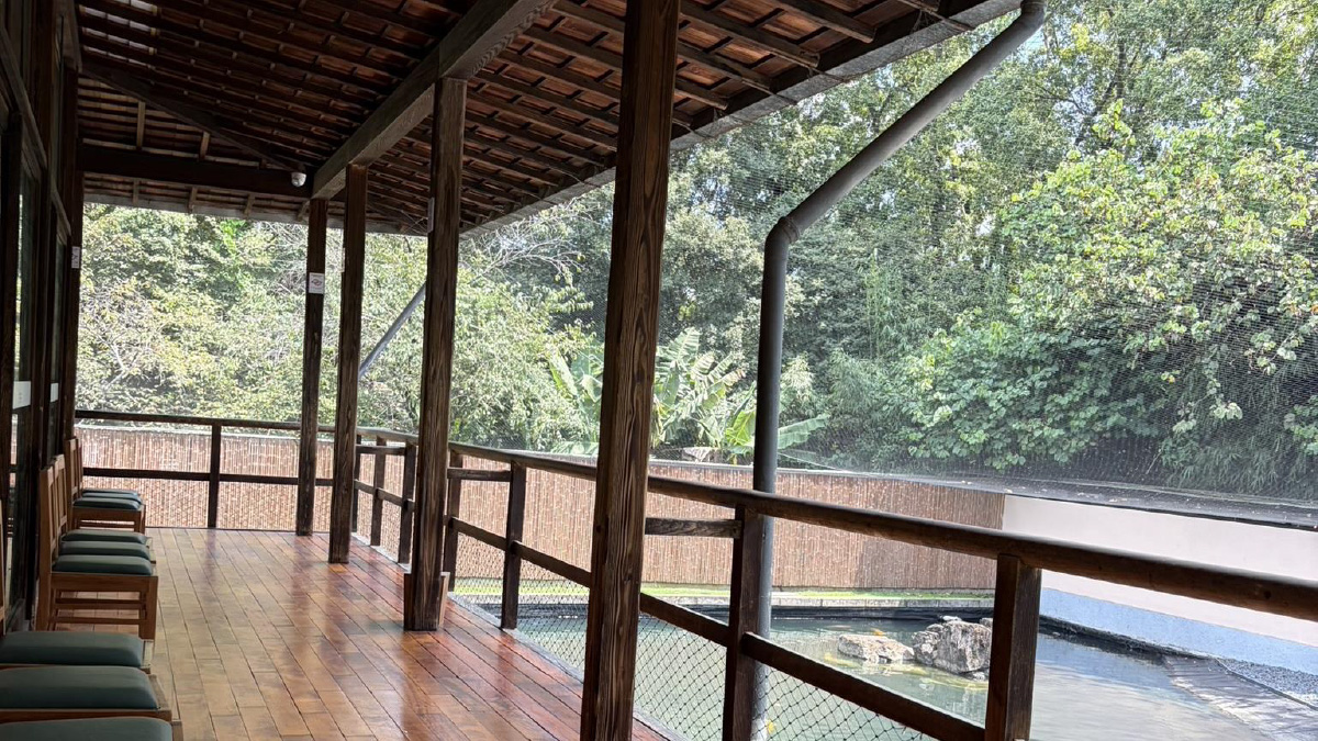 Eventos exclusivos - Pavilhão Japonês Ibirapuera 15